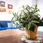 Stefania Flat - Amalfi Center