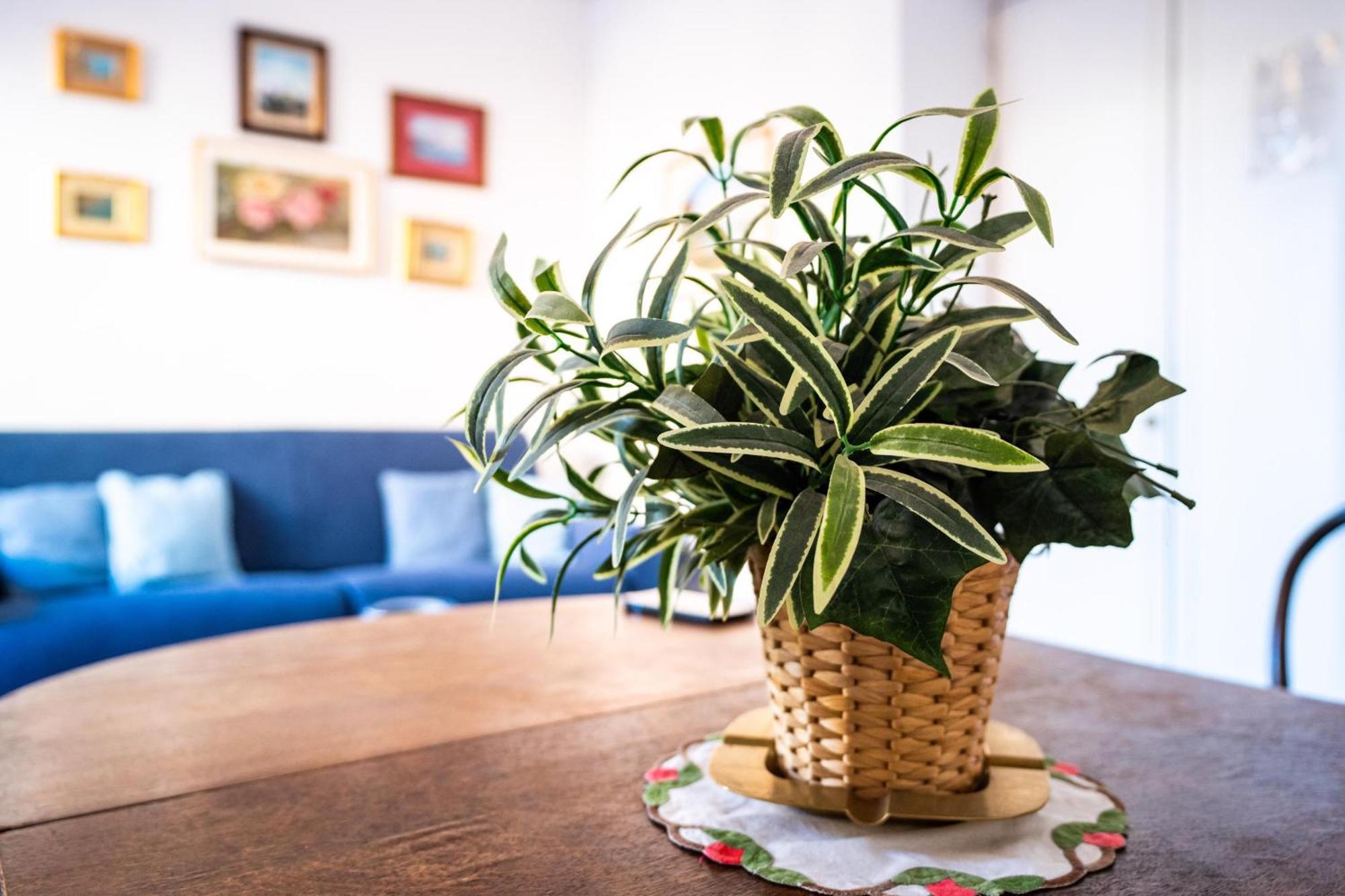 Apartment Stefania Flat - Center Amalfi